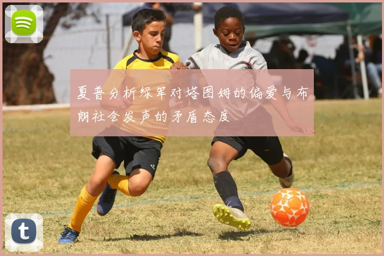 夏普分析绿军对塔图姆的偏爱与布朗社会发声的矛盾态度