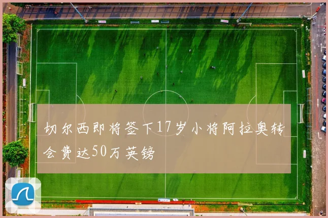 切尔西即将签下17岁小将阿拉奥转会费达50万英镑
