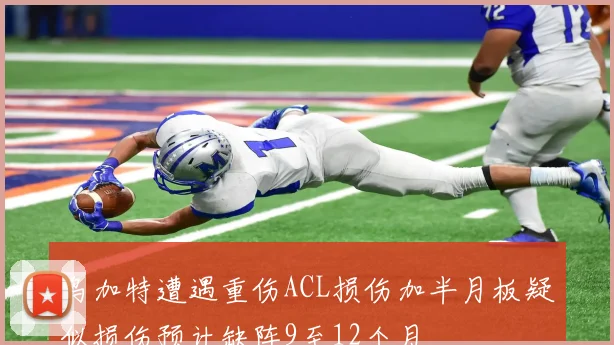 乌加特遭遇重伤ACL损伤加半月板疑似损伤预计缺阵9至12个月